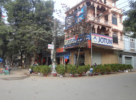 Quất đào Thành Vinh ế ẩm ngày 30 Tết